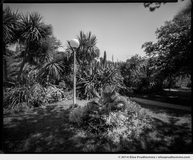 Jardin d'Acclimatation, Tatihou Island, Saint-Vaast-la-Hougue, France. 2014 (series Sands of Time) by Elise Prudhomme.