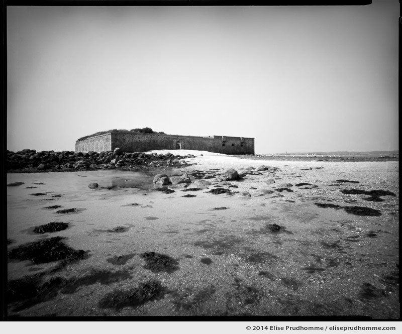 Ornithological reserve at low tide, Saint-Vaast-la-Hougue, France. 2014 (series Sands of Time) by Elise Prudhomme.