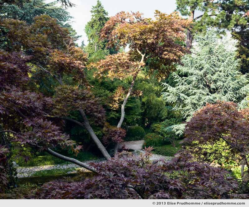 Modern Japanese Garden #2, Albert Kahn Garden, Boulogne-Billancourt, France, 2013 by Elise Prudhomme.