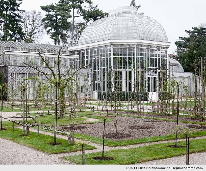 The Rose Garden #2, Albert Kahn Garden, Boulogne-Billancourt, France, 2011 by Elise Prudhomme.