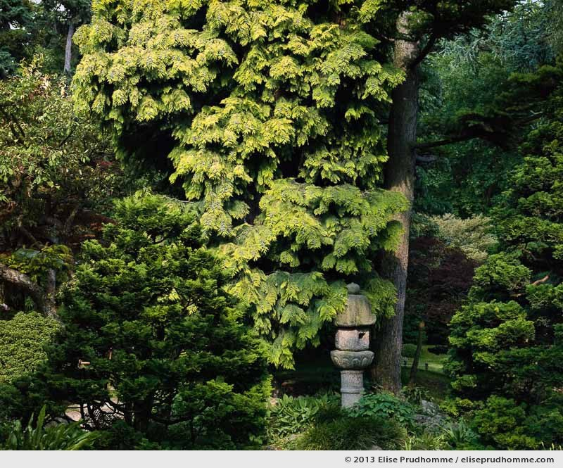 Japanese Village #3, Albert Kahn Garden, Boulogne-Billancourt, France, 2013 by Elise Prudhomme.