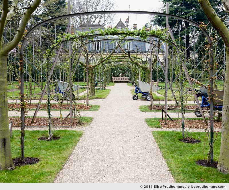 The Rose Garden #4, Albert Kahn Garden, Boulogne-Billancourt, France, 2011 by Elise Prudhomme.