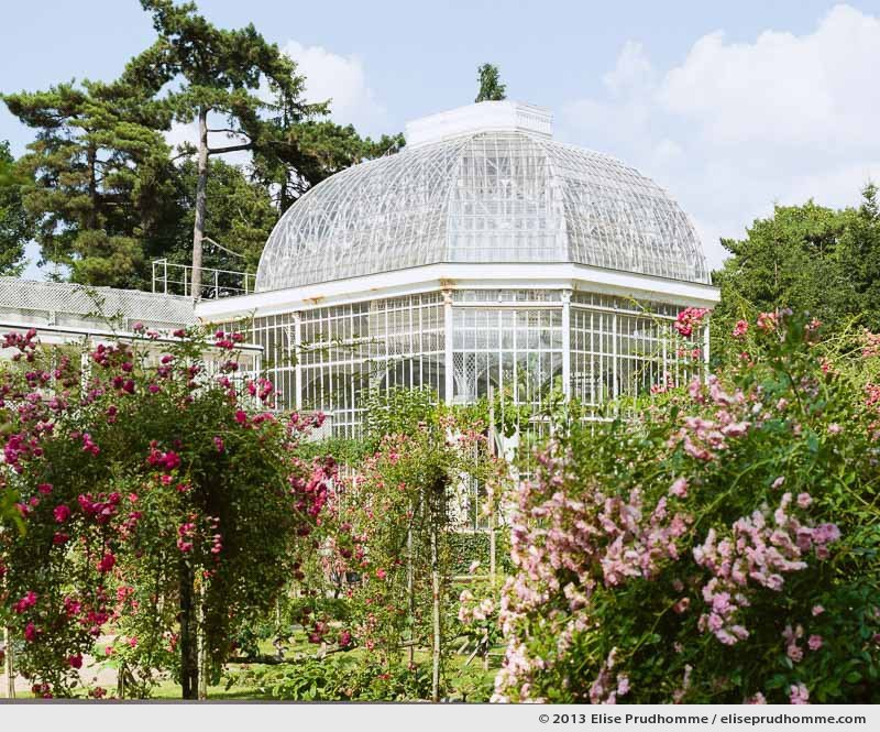 The Rose Garden #3, Albert Kahn Garden, Boulogne-Billancourt, France, 2013 by Elise Prudhomme.