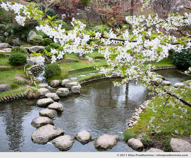 Modern Japanese Garden #1, Albert Kahn Garden, Boulogne-Billancourt, France, 2011 by Elise Prudhomme.