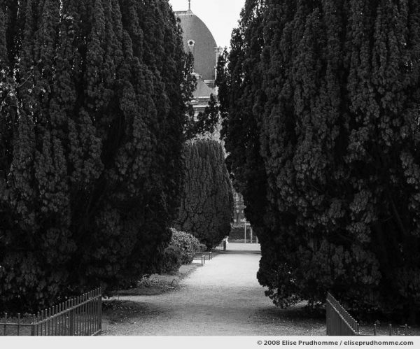Common cypress line paths of the Carré de la Perspective, Jardin des Plantes, Paris, France, 2008 by Elise Prudhomme