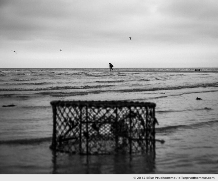 Fishing on foot for clams at low tide, Granville, France, 2012 by Elise Prudhomme.