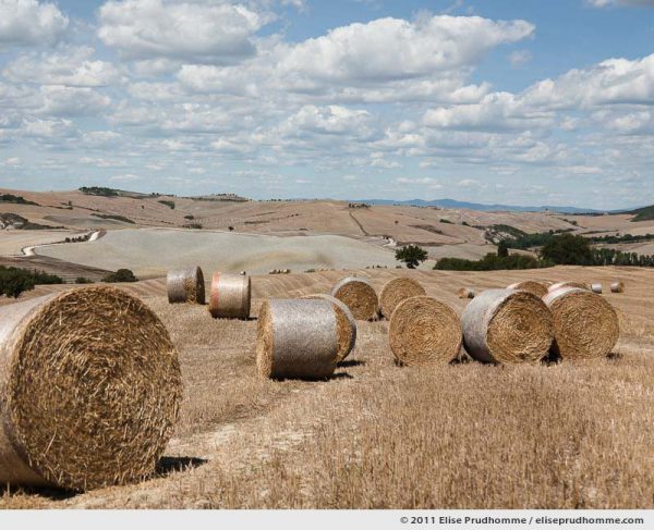 Hay bales, rolling fields and dappled clouds on a summer day, Tuscany, Italy, 2011 by Elise Prudhomme