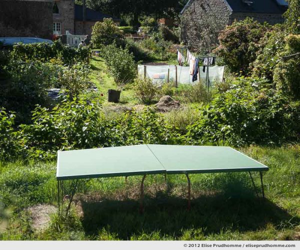 Overgrown backyard and warped table tennis (ping-pong), Normandy, France, 2012 by Elise Prudhomme