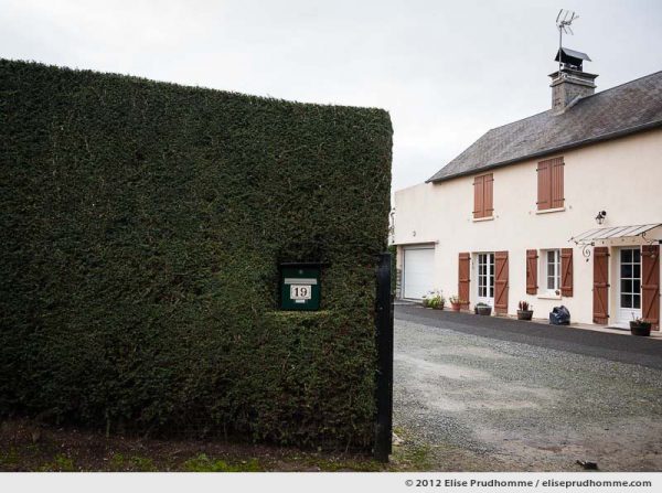 Trimmed hawthorn hedge with mailbox and country house, Normandy, France, 2012 by Elise Prudhomme