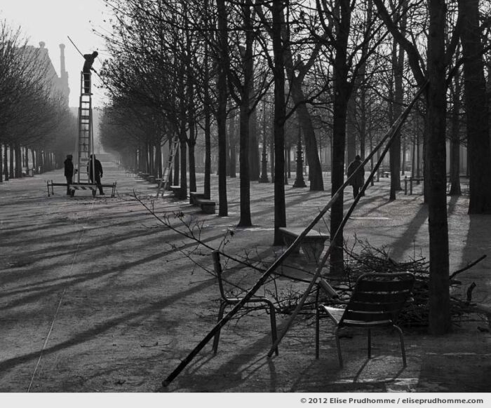 Equilibre or Equilibrium, Tuileries Garden, Paris, France, 2012 (part of the series Yours, Mine, Le Nôtre's) by Elise Prudhomme.