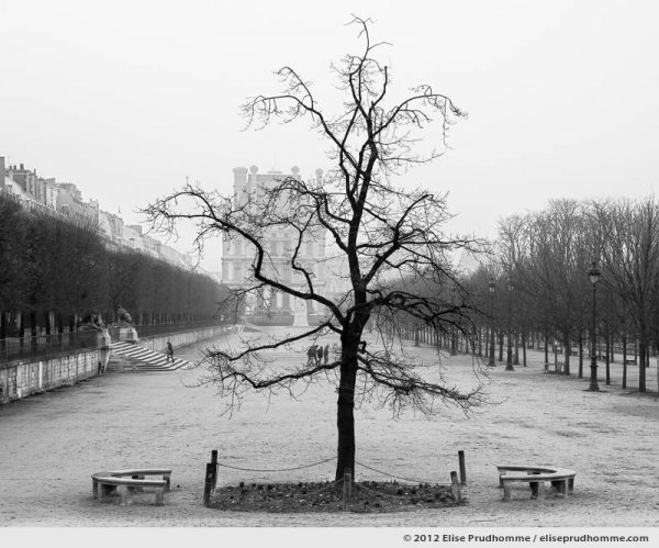 Liberté or Liberty, Tuileries Garden, Paris, France, 2011 (part of the series Yours, Mine, Le Nôtre's) by Elise Prudhomme.