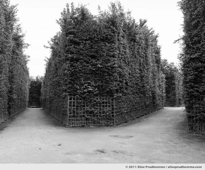 Corset, Versailles Chateau Garden, Paris, France, 2011 (part of the series Yours, Mine, Le Nôtre's) by Elise Prudhomme.