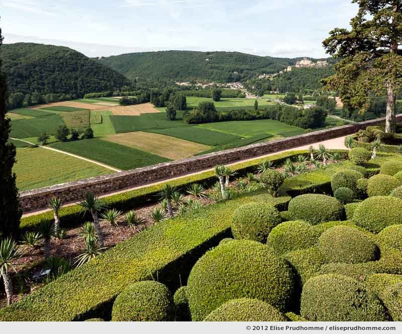 Castelnaud and cultivated fields, The Suspended Gardens of Marqueyssac, Vezac, France (series Notable Gardens of France) by Elise Prudhomme.