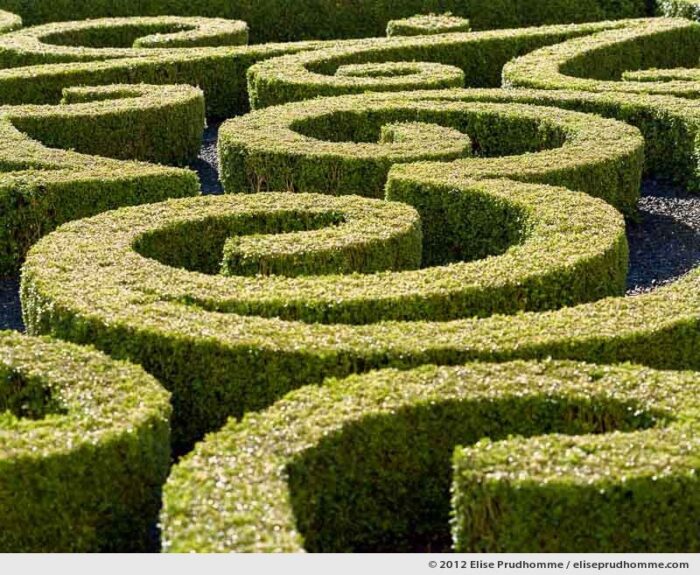 Detail of formal boxwood parterre, Brecy Castle Gardens, Saint Gabriel Brécy, France. 2012 (series Notable Gardens of France) by Elise Prudhomme.