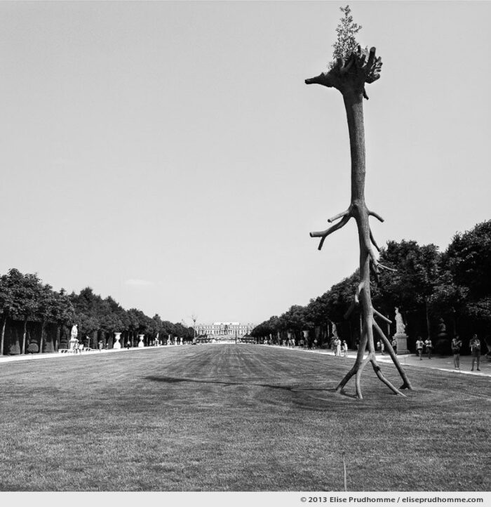 Penone, Versailles Chateau Garden, France, 2013 (part of the series Yours, Mine, Le Nôtre's) by Elise Prudhomme.