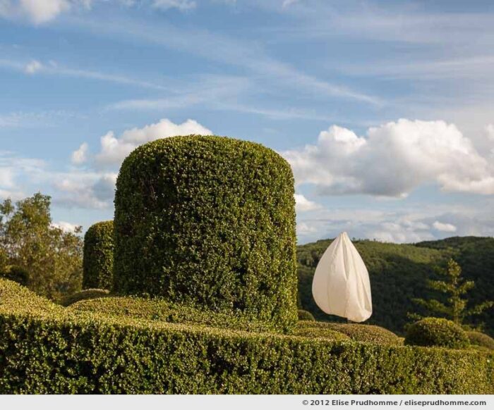 Night lamp by day, The Suspended Gardens of Marqueyssac, Vezac, France (series Notable Gardens of France) by Elise Prudhomme.
