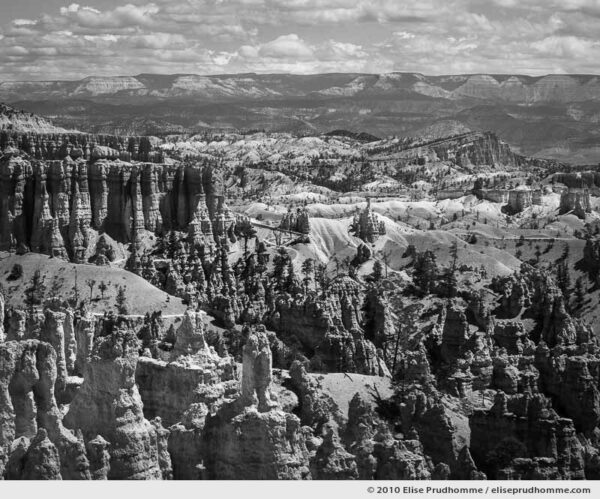 Rim Trail scenic landscape and hoodoos, Bryce Canyon, Utah, USA, 2010 (series Wild Wild West) by Elise Prudhomme.