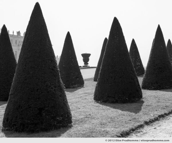 Tête-bêche or Upside-Down, Versailles Chateau Garden, France, 2012 (part of the series Yours, Mine, Le Nôtre's) by Elise Prudhomme.