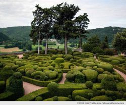 The Bastion #1, The Suspended Gardens of Marqueyssac, Vezac, France (series Notable Gardens of France) by Elise Prudhomme.