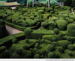 The Bastion #3, The Suspended Gardens of Marqueyssac, Vezac, France (series Notable Gardens of France) by Elise Prudhomme.