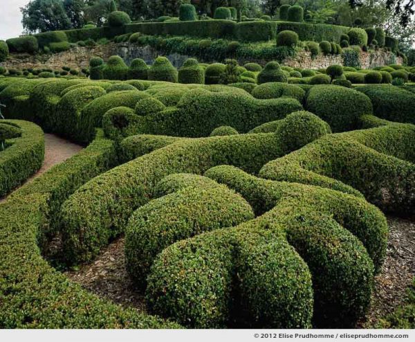 The Bastion #5, The Suspended Gardens of Marqueyssac, Vezac, France (series Notable Gardens of France) by Elise Prudhomme.