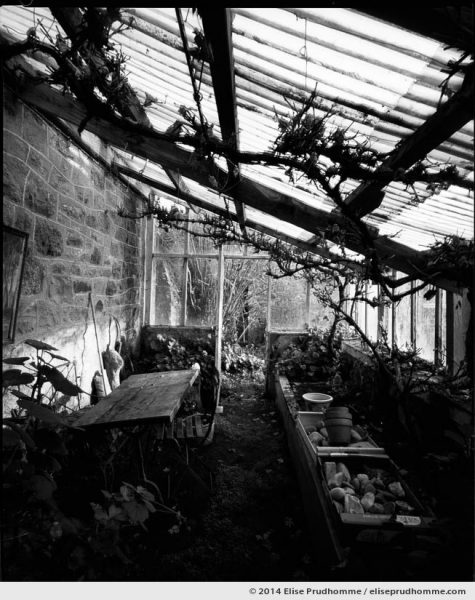 The Greenhouse, Study 1, Fermanville, France. 2013 (series Sands of Time) by Elise Prudhomme.