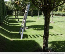Topiary study #2, Eyrignac Gardens, Salignac-Eyvigues, France, 2012 (series Notable Gardens of France) by Elise Prudhomme.
