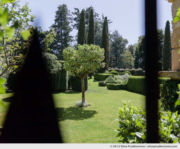 Topiary study #5, Eyrignac Gardens, Salignac-Eyvigues, France, 2012 (series Notable Gardens of France) by Elise Prudhomme.