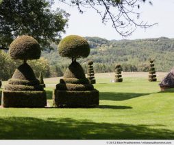 Topiary study #6, Eyrignac Gardens, Salignac-Eyvigues, France. 2012 (series Notable Gardens of France) by Elise Prudhomme.