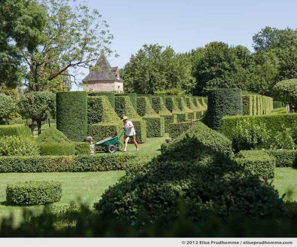 Topiary study #7, Les Sculptures Végétales, Eyrignac Gardens, Salignac-Eyvigues, France. 2012 (series Notable Gardens of France) by Elise Prudhomme.