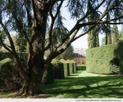 Topiary study #8, Eyrignac Gardens, Salignac-Eyvigues, France, 2012 (series Notable Gardens of France) by Elise Prudhomme.