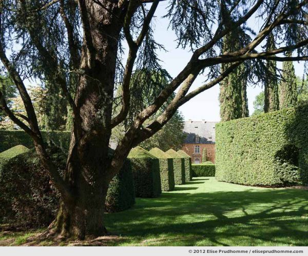 Topiary study #8, Eyrignac Gardens, Salignac-Eyvigues, France, 2012 (series Notable Gardens of France) by Elise Prudhomme.