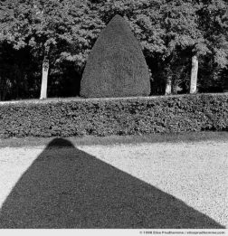Topiary study, Vaux-le-Vicomte Castle and Garden, Maincy, France. 1998 (series Yours, Mine, Le Nôtre's) by Elise Prudhomme.