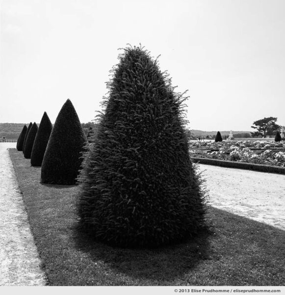 Beatnik, Versailles Chateau Garden, France, 2013 (part of the series Yours, Mine, Le Nôtre's) by Elise Prudhomme.