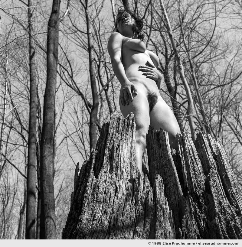 Pure souche, Pennsylvania, USA (series Exposed - À découvert) by Elise Prudhomme.