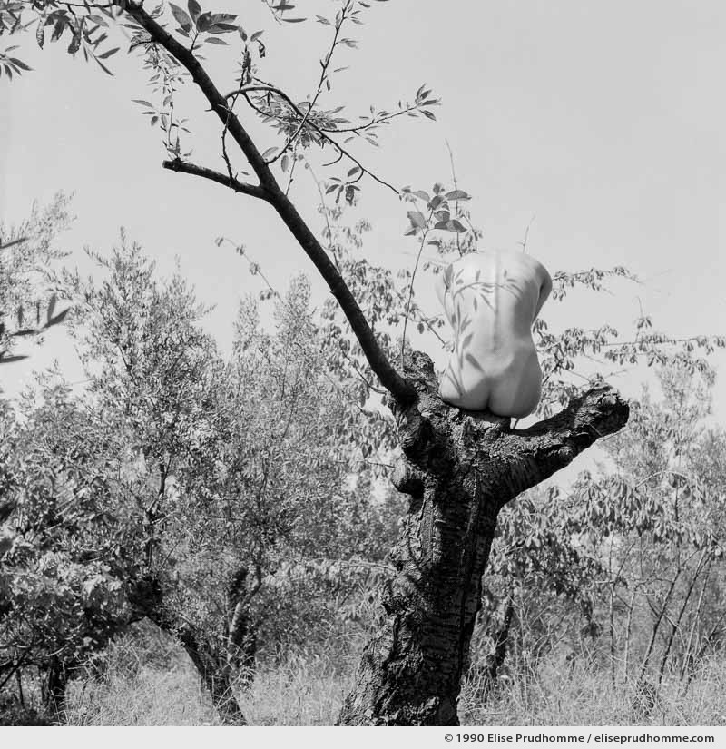 Tronqué, Siena, Italy (series Exposed - À découvert) by Elise Prudhomme.