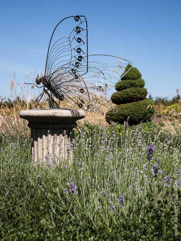 Butterfly sculpture, topiary and knot garden detail