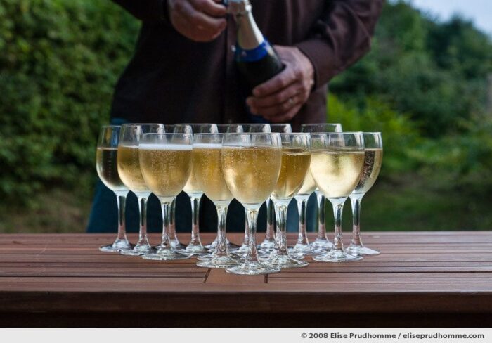 Glasses of champagne outside on a teck garden table, Normandy, France, 2008 by Elise Prudhomme