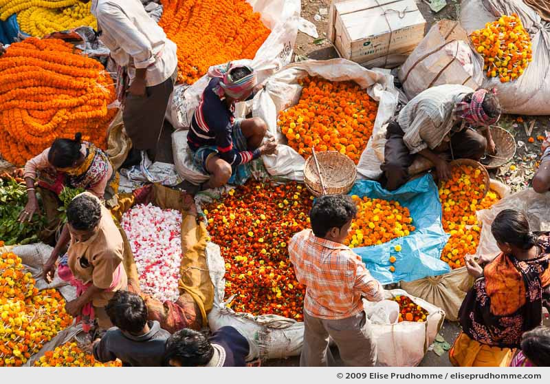 Aerial view of people working in the Mallick Ghat Flower Market, Howrah Bridge, Calcutta, India, 2009