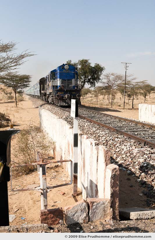 Approaching train at rural crossing near Jaisalmer, Rajasthan, India, 2009 by Elise Prudhomme.