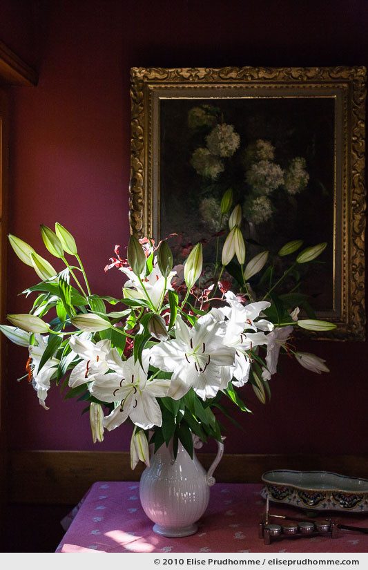Bouquet of white lilies in a white vase on a table in bright sunlight, Normandy, France, 2010 by Elise Prudhomme.