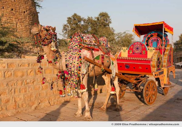 Decorated camel and cart waiting for passengers outside the walls of Jaisalmer, Rajasthan, India, 2009 by Elise Prudhomme.