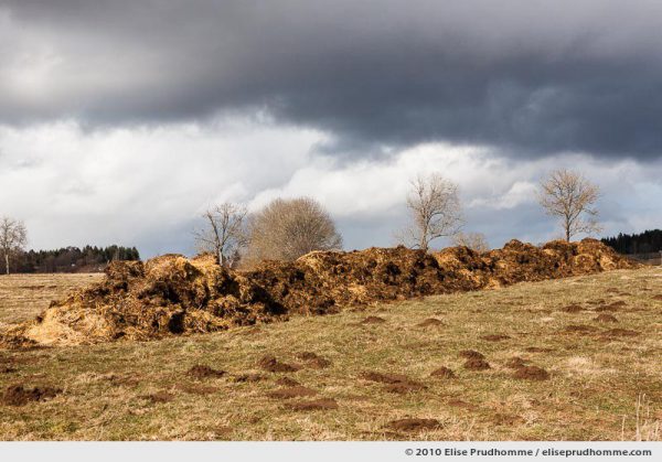 Manure in a field under overcast skies, Saint-Ours-les-Roches, Auvergne, France, 2010 by Elise Prudhomme.