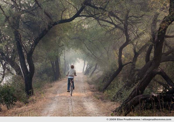 One boy riding a bicycle in Keoladeo Ghana National Park during winter at sunrise, Bharatpur, India, January 1, 2010 by Elise Prudhomme.