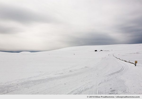 Overcast sky and cross-country ski trails at the summit of the Banne d'Ordanche, Auvergne, France, 2010 by Elise Prudhomme.