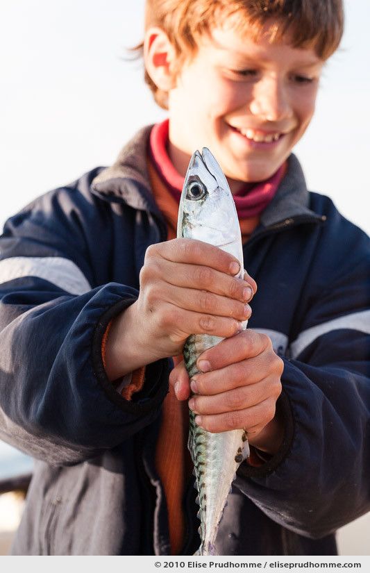 Smiling young boy in a blue jacket holding a freshly caught mackerel, Cap Levy, Normandy, France, 2010 by Elise Prudhomme.