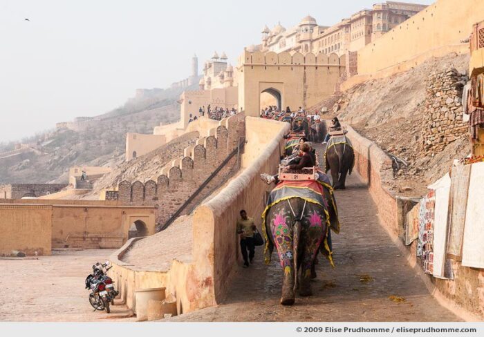 Tourists riding elephants to the Amer Fort (Amer Palace), Jaipur, Rajasthan, India, 2009 by Elise Prudhomme.
