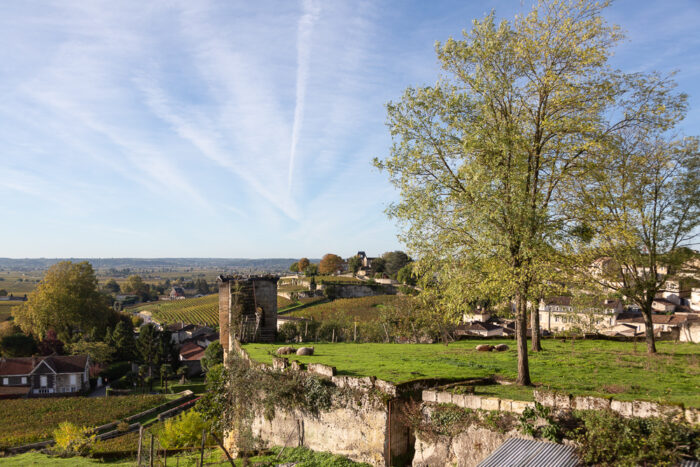 Below the Brunet Gate, the Fongaban Valley hosted in the gardens of Saint-Emilion and many water mills in the Middle Ages, Gironde, France.