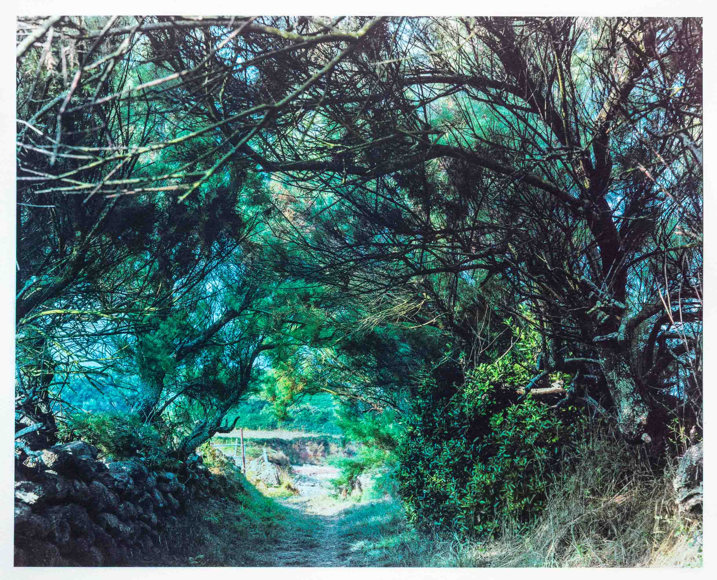 Chemin du Pied Sablon Fermanville 2009