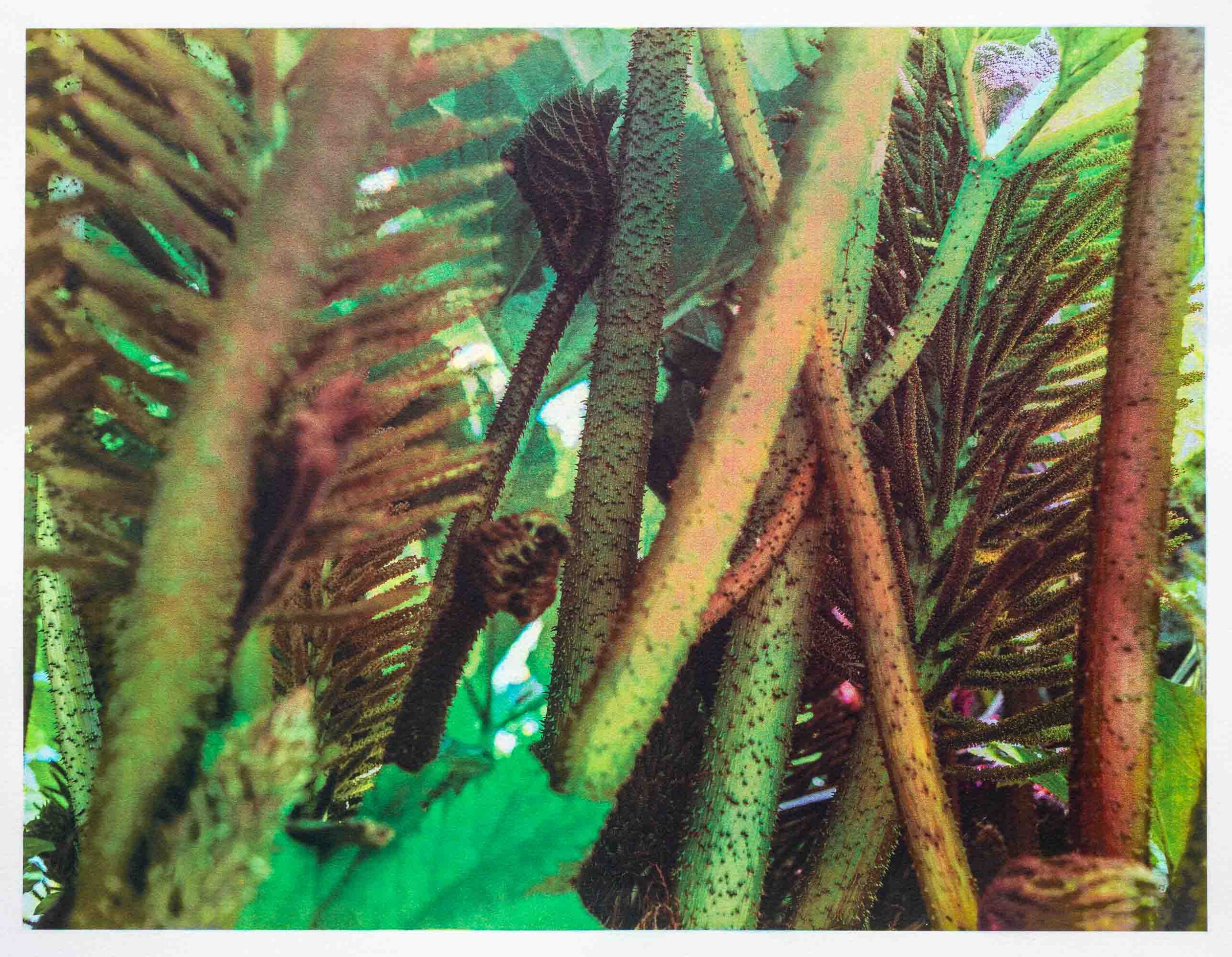 A Closer Look at Elise Prudhomme's Photographic Prints: Techniques & Inspirations Tri-color gum over platinum-palladium, 34,5 x 45,5 cm © Elise Prudhomme